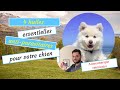 4 huiles essentielles antiparasitaires pour votre chien