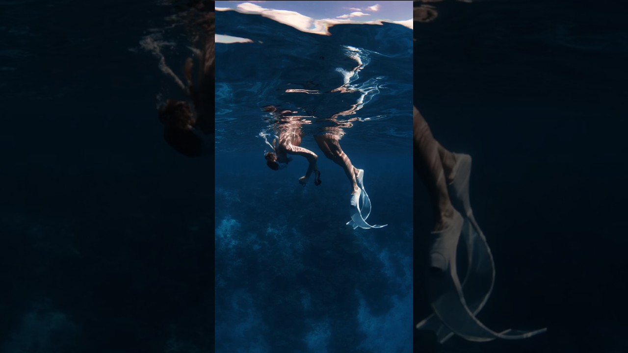 Tu historia comienza aquí, en Cenote Gardens 