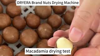 DRYERA brand heat pump Macadamia dryer machine
