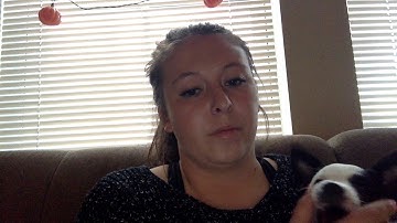 Multimodal Argumentative Research Paper