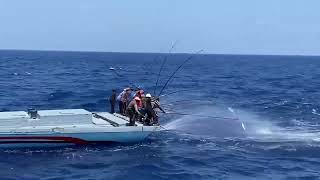 Sustainable Tuna Fishing In The Maldives