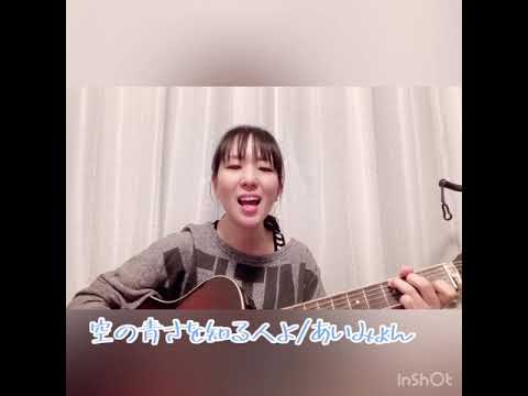 空の青さを知る人よ/あいみょん(カバー)