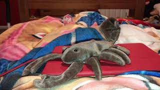 Ty beanie babies scorpion 🦂 stuffed animal toy review