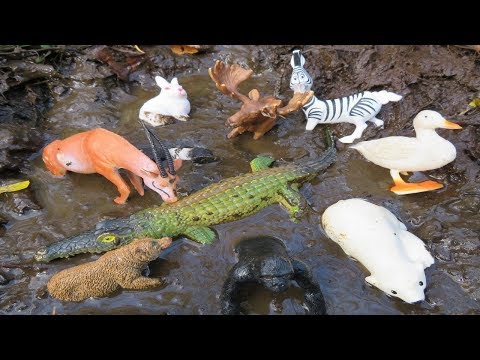Muddy Zoo Animal Toys Getting Washed 