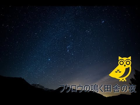 心を癒す自然の音・ふくろうの鳴く田舎の夜 / Healing nature sounds - countryside at night with owls.