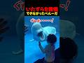 いたずらを我慢できなかったベルーガ