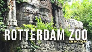 Rotterdam Zoo Tour | The Most Visited Zoo in the Netherlands! | Diergaarde Blijdorp