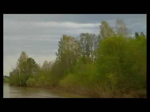 Н Рыленков Всё в тающей дымке #стихиорусскойприроде#философскаялирика #поэты20века