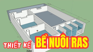 HỆ THỐNG BỂ NUÔI CÔNG NGHỆ RAS KHÔNG CẦN THAY NƯỚC | BÍ MẬT CỦA NÔNG NGHIỆP TƯƠNG LAI!