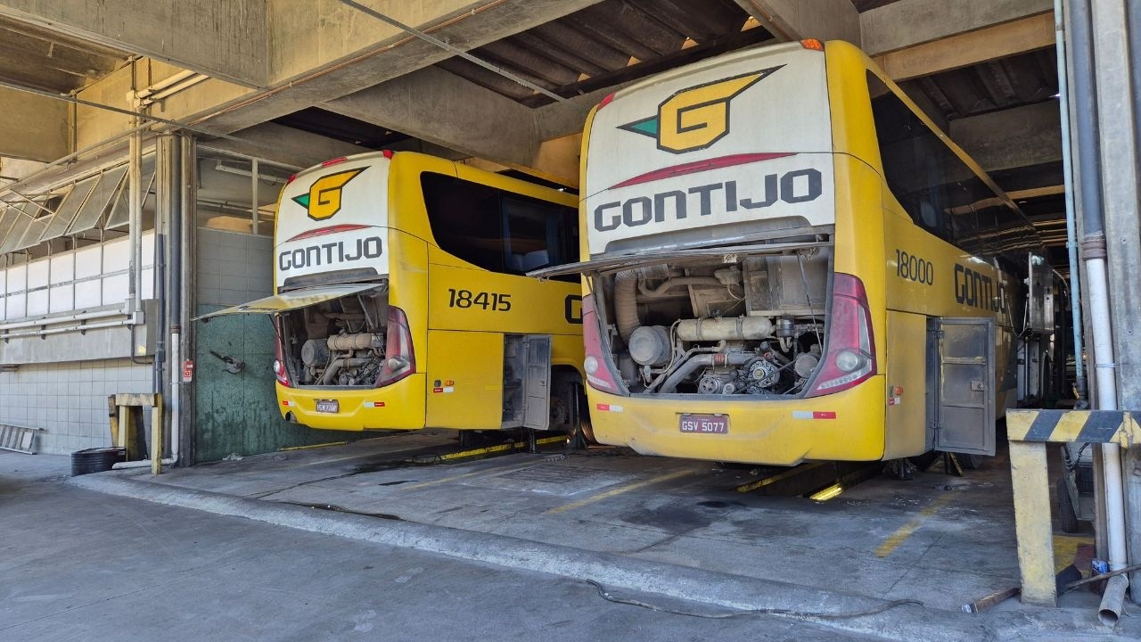 Gontijo: Movimentação Intensa nos Preparativos para o Final de Ano! Bastidores da Gontijo! #Gontijo