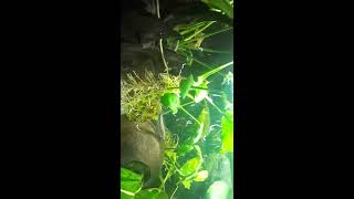 20150527 205801