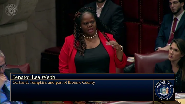 Senator Webb Explains her Vote on Budget Bill S4006C