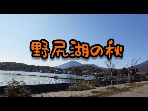 【癒しの風景】秋の野尻湖 紅葉 旅
