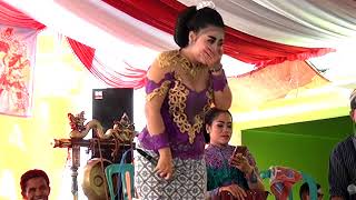 Download Lagu Cokek Mania Bhirawa - Tondo Moto Voc. Novi MP3