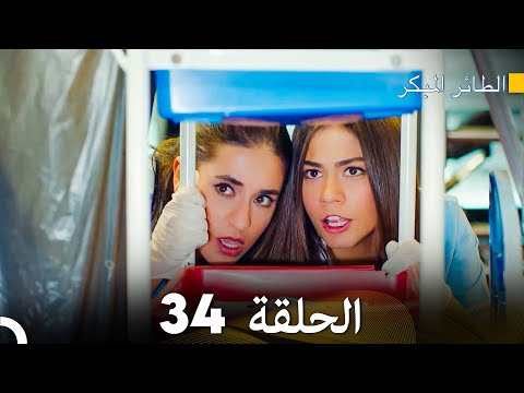 مسلسل الطائر المبكر الحلقة 34 دوبلاج عربي