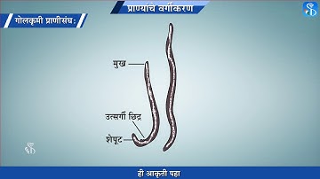 10th Science 2 | Chapter#06 | Topic#06 | चपट्या कृमींचा संघ, गोलकृमी प्राणीसंघ | Marathi Medium