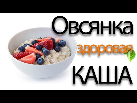 Овсянка. Польза и вред каши. Чем отличается «Геркулес» от овсянки?