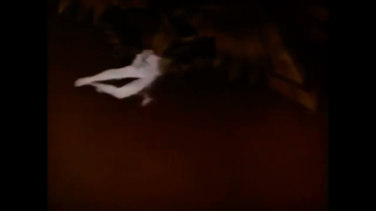 NICAM stereo ghostbusters 1991 ￼