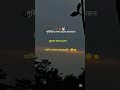 🥀🦋🐰-:পৃথিবীতে সব থেকে প্রতারনামূলক কথা হলো-: আমি তোমাকে ভালোবাসি_