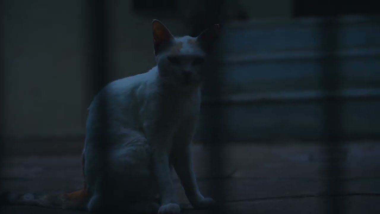 DeSiFMA | De Sales International Film & Media Academy | Kodampakkam | Chennai | Tamil Nadu | India |