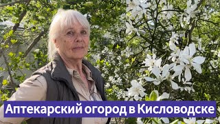 Аптекарский огород в Кисловодске