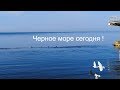 Чёрное море сегодня. Утро 5 апреля 2019 год. ХОСТА