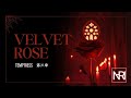 VELVET ROSE - NARI