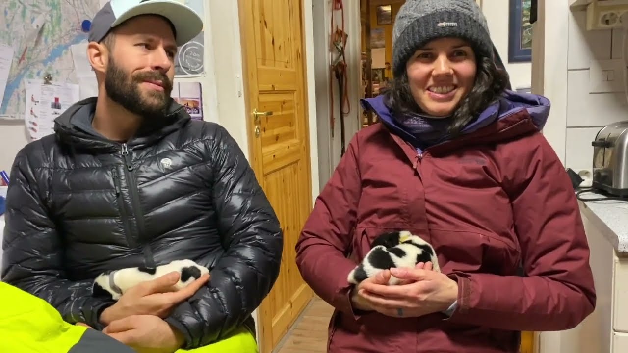 MSc research: The emotional expressions of sled dogs living in cages vs on chains or on the sofa