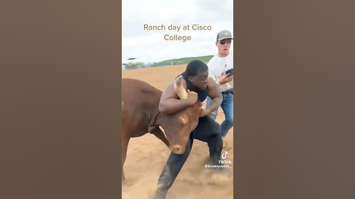 toro vs human