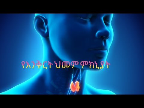 ቪዲዮ: T3 ሜታቦሊዝምን ያፋጥናል?