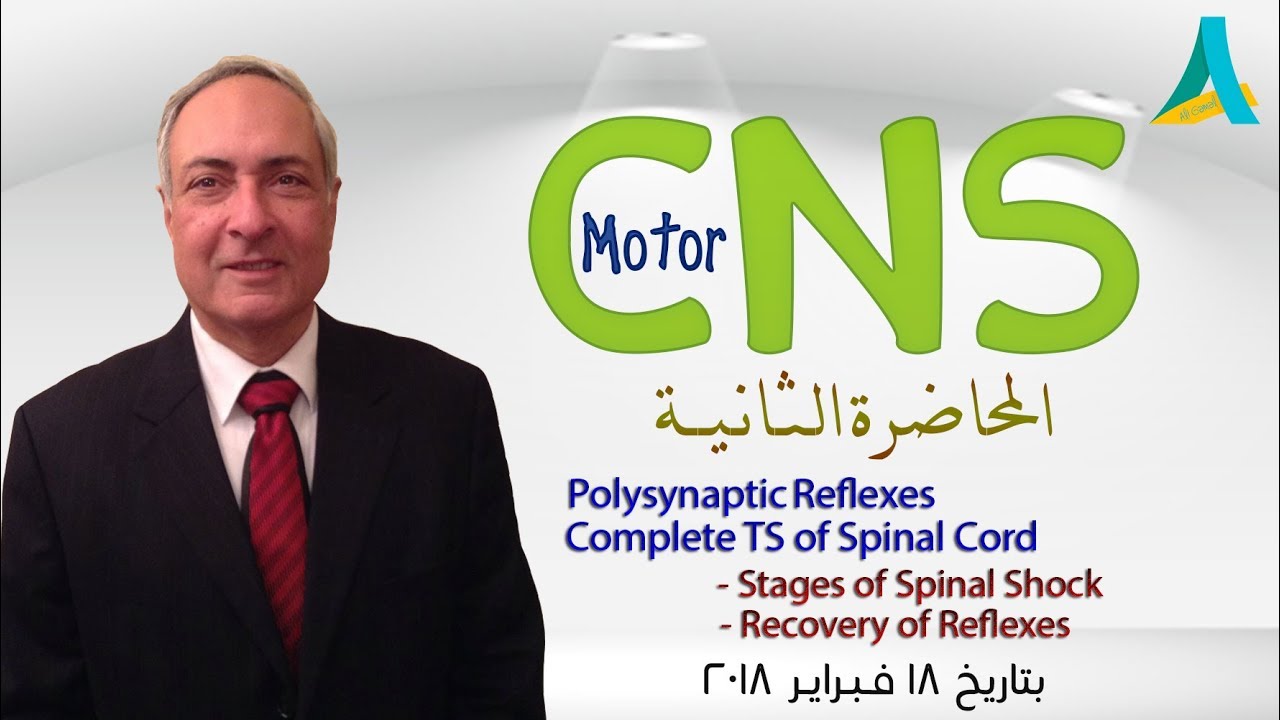 Dr.Nagi - Live Physiology - Lecture 73 - CNS Motor (2) - Reflexes & TS of Sp.cd.