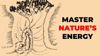 You Can Harness Natures Energy, Here's How..