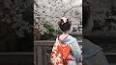 Магия цветения сакуры ile ilgili video