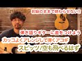 アコギ始めたらこの動画から是非！[スピッツ / 空も飛べるはず]