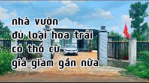 GỒNG HẾT NỖI ! chị thuỳ tiếp tục giảm giá để bán nhanh nhà vườn đủ loại trái cây ở bà rịa vũng tàu