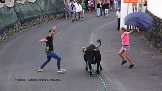 Tourada à corda in Afinal Ela Sabe Tourear, Porto Judeu, 17 July 2026