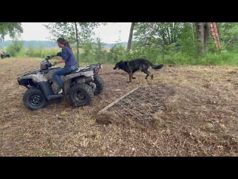 how to make the best food plots!!