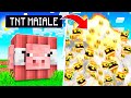 LA NUOVA TNT CHE DISTRUGGE TUTTO MINECRAFT!!