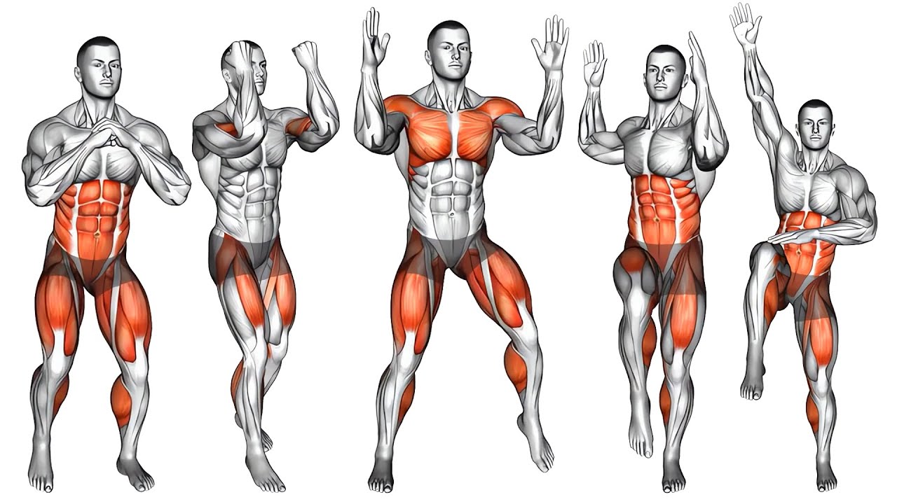 Утренняя активизация всего тела для развития баланса, силы и контроля.