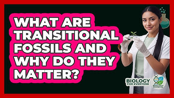 What Are Transitional Fossils And Why Do They Matter? - Biology For Everyone