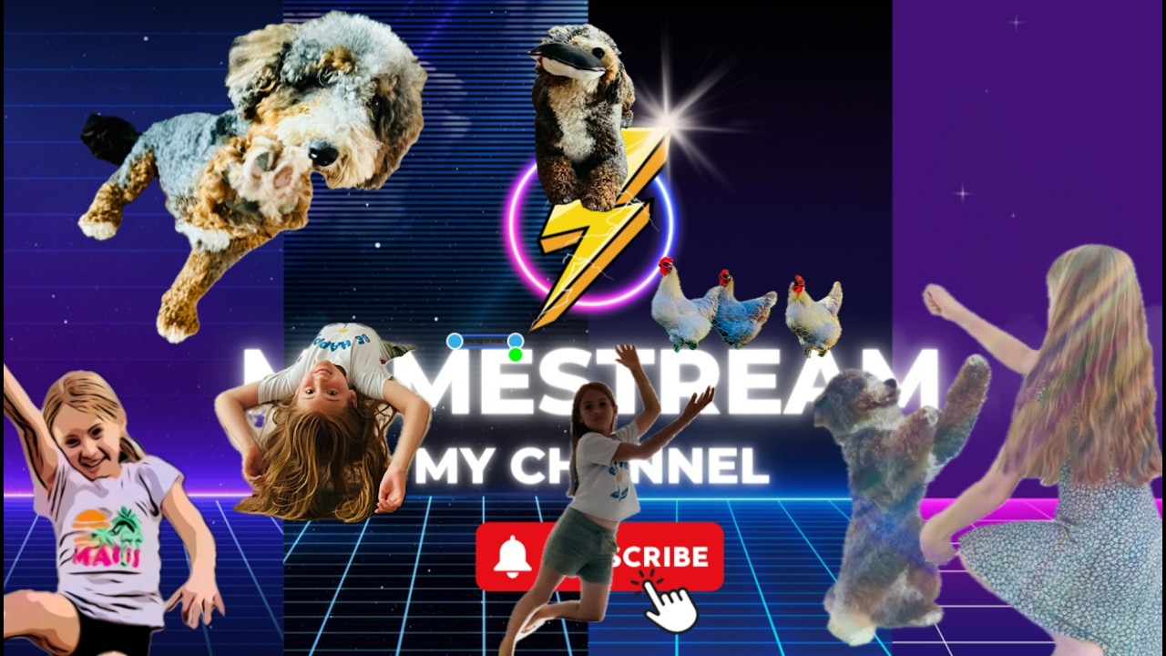 The Introduction Of MemeStream