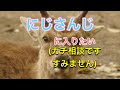 【皆様の知恵を貸してください】にじさんじに入りたい