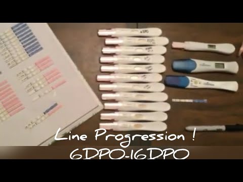 Pregnancy Test Progression 7dpo 16dpo Lineprogression Baby2 Firstresponselineprogression Youtube Pregnancy Test Progression 7dpo 16dpo Lineprogression Baby2 Firstresponselineprogression Youtube