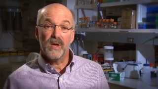 PLANTS Challenges of modifying root traits in crops for agriculture