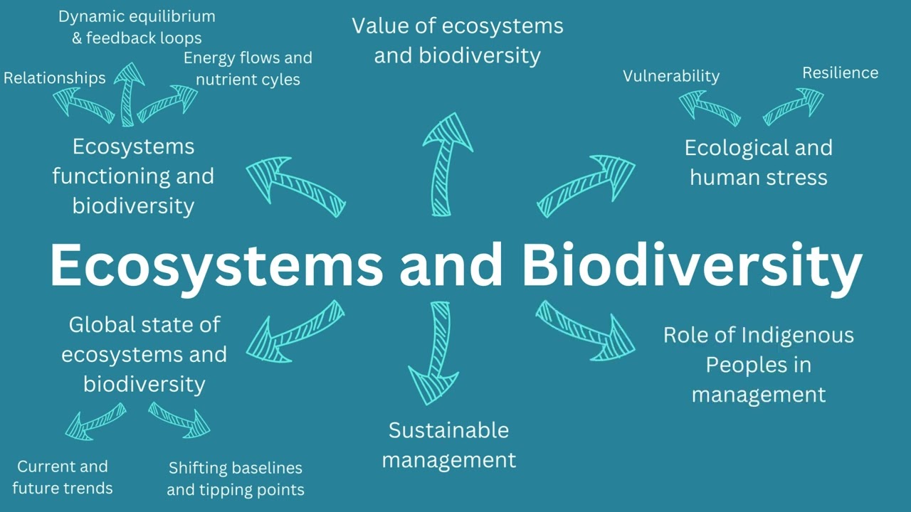 Year 12 Geography - Ecosystems and Global Biodiversity Introduction