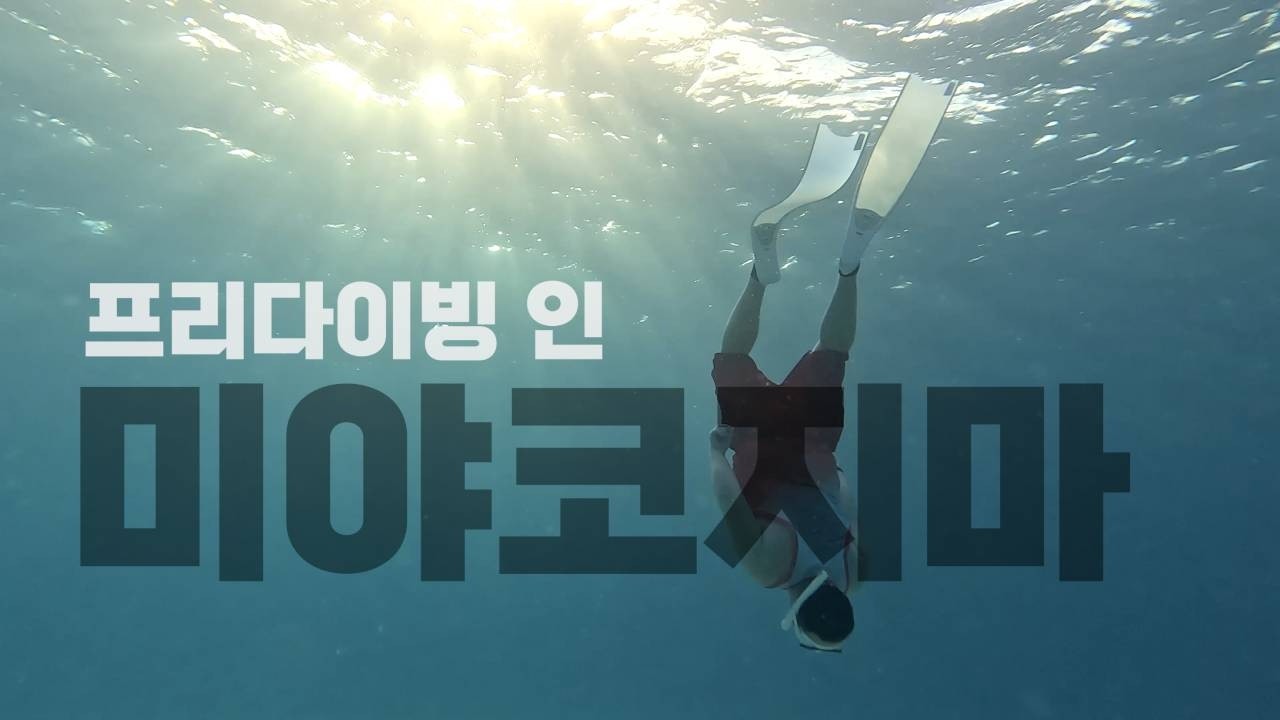 산호초로 뒤덮인 아름다운 바다 / 미야코지마 프리다이빙 / 렌터카 / 야비지 투어 / 스나야마 비치