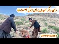 آمدنم در اینجا بزرگ ترین اشتباہ بود کاش ھیچ وقت اینجا نمی آمدم آمدنم در اینجا بزرگ ترین اشتباہ بود کاش ھیچ وقت اینجا نمی آمدم