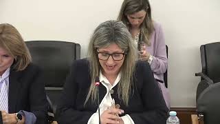 15-04-2026 | Audição regimental do Ministro da Presidência | Dália Miranda