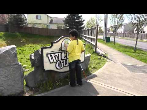 Understanding Cortical Vision Impairment 