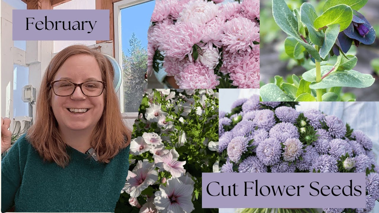 All The Cut Flower Seeds We're Starting in February: PNW zone 8b